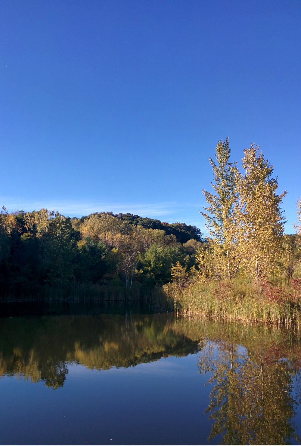 Evergreen Brick Works